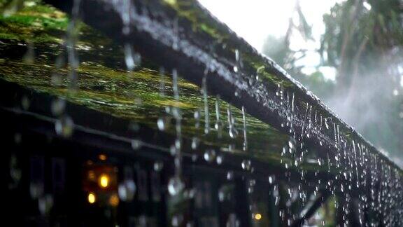 SLOMO水雨滴从青苔屋顶与雾
