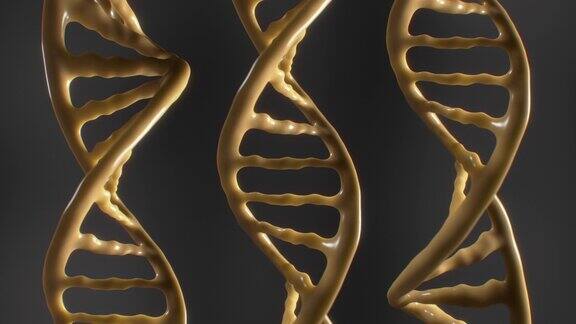 旋转有机DNA螺旋环