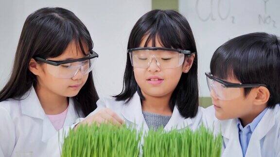 中学生物学实验如何让孩子在生物课上感兴趣孩子们种植和照顾等待观察组件和生长教育、技术、团队、生物、科学、人本理念教育的主题