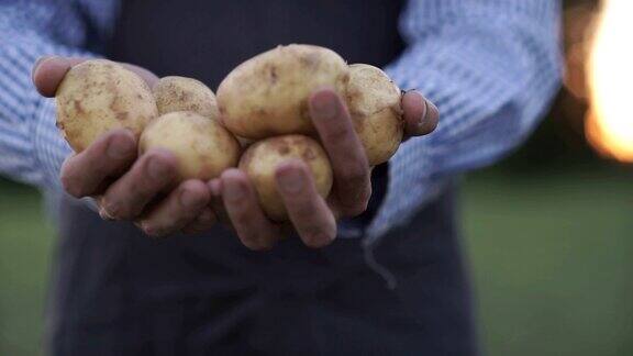 那位农民手里拿着马铃薯的生物制品