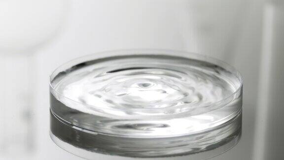 水滴落入皮氏培养皿液体产生涟漪