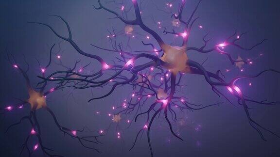 神经网络中神经元的运动3D动画