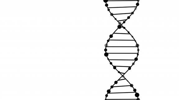 DNA结构分子旋转