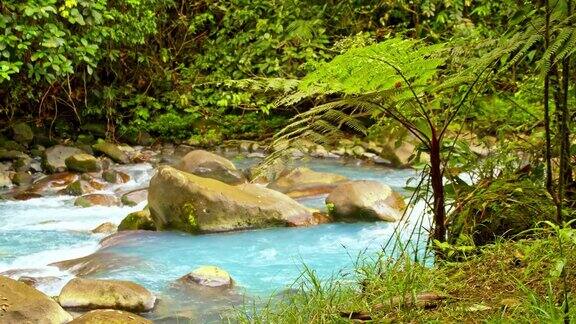 哥斯达黎加的绿松石河