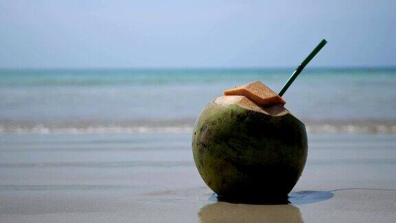 椰子和一根稻草在沙滩上以大海为背景