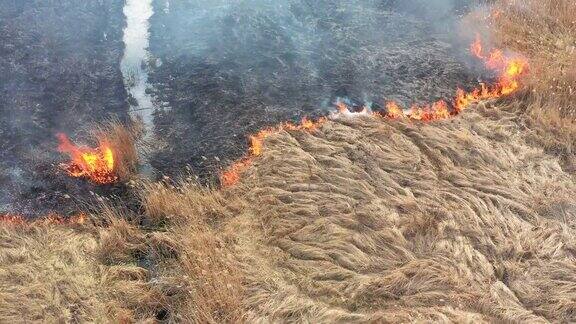 草地上的草在燃烧无人机拍摄