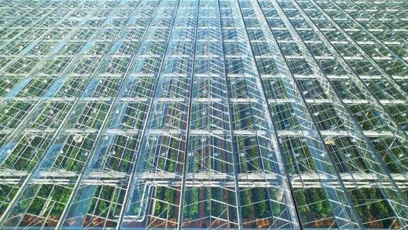 温室:工业温室的屋顶