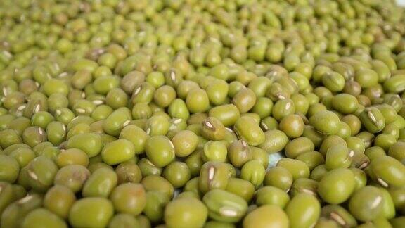 大堆收获的绿色豌豆在明亮的光宏观
