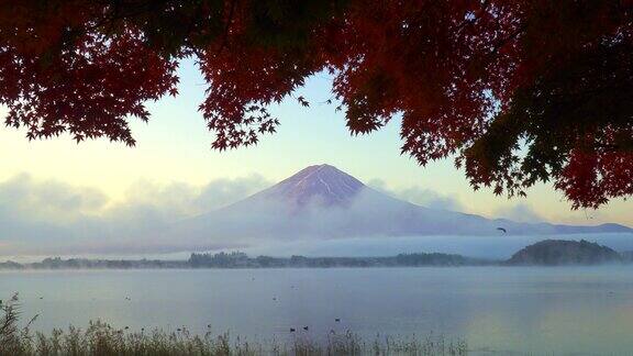 川口湖在清晨的薄雾中富士山和树木带着秋叶