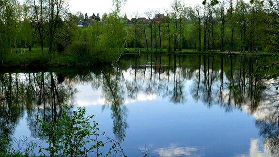 森林中安静的池塘