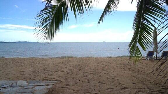 泰国芭堤雅的棕榈和热带海滩