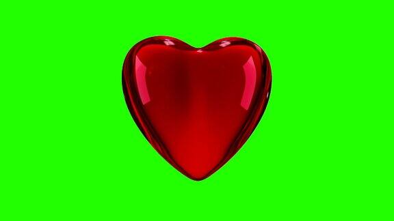 红色光滑的3D心脏在绿色屏幕上360度旋转无缝的
