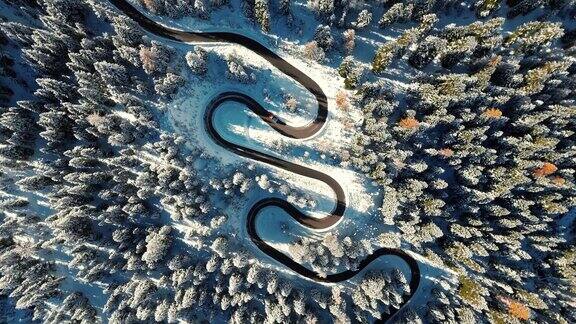 空中无人机拍摄的著名汽车在冬天在白云石阿尔卑斯落叶松林中穿过蛇路