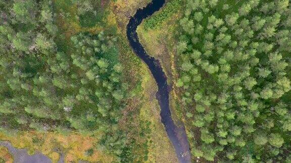 无人机拍摄的森林里有河流和湖泊