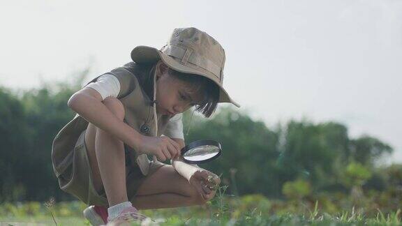 小女孩拿着放大镜看花和大自然