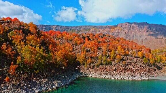 一个壮观的海湾和海滩在火山口湖鸟瞰秋天的树木