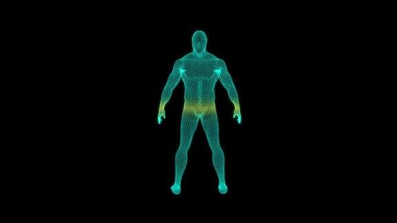 扫描人体三维线框