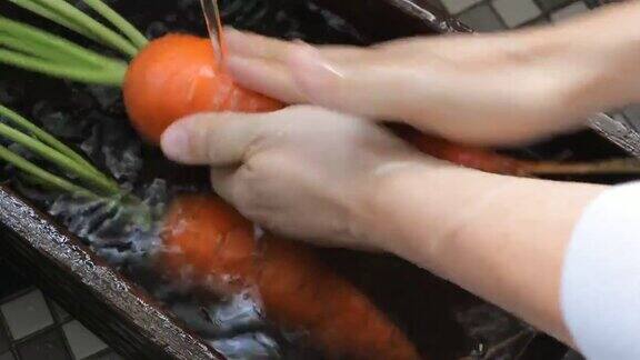 胡萝卜干净的维生素蔬菜