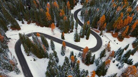 空中无人机拍摄的汽车行驶在柏油路通过秋天落叶松森林在白雪皑皑的白云岩