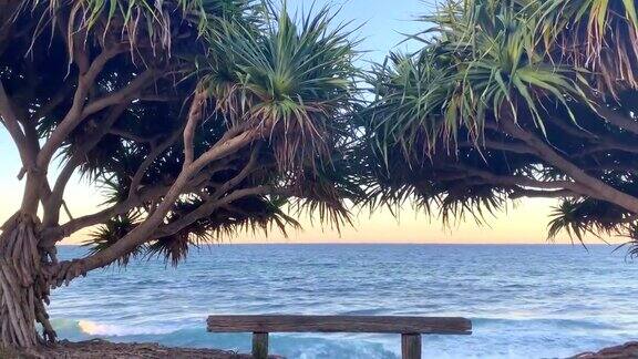 海滨公园长椅之间的热带树木