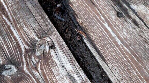 甲板上腐烂的木板