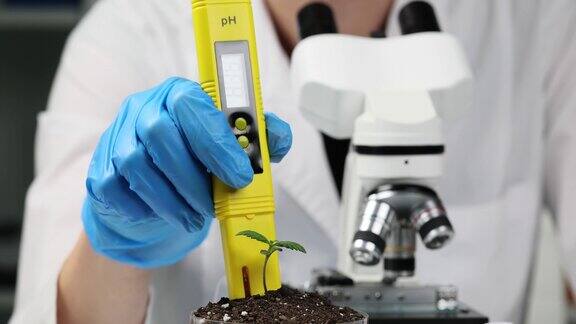 土壤pH农业实验室特写