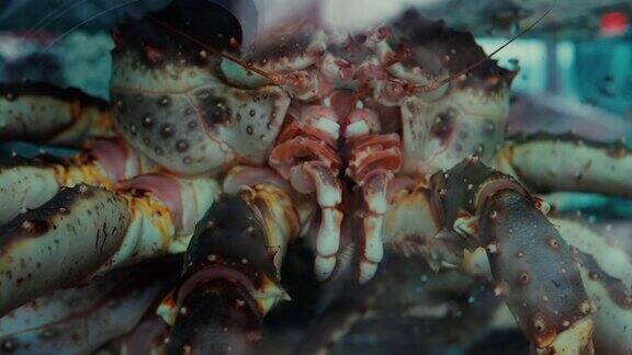 市场鱼缸里的帝王蟹