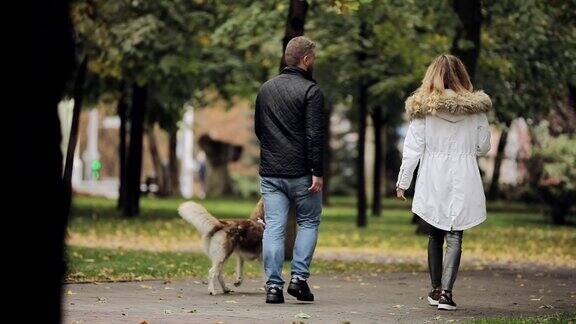 秋日一对夫妇带着爱犬在公园里散步后景慢镜头