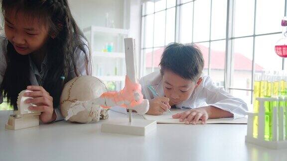 图为一名小学生在私立学校的实验室里观察牙齿和头骨模型并在笔记本上写笔记