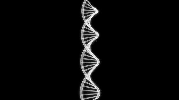 DNA链旋转环的三维全息屏幕