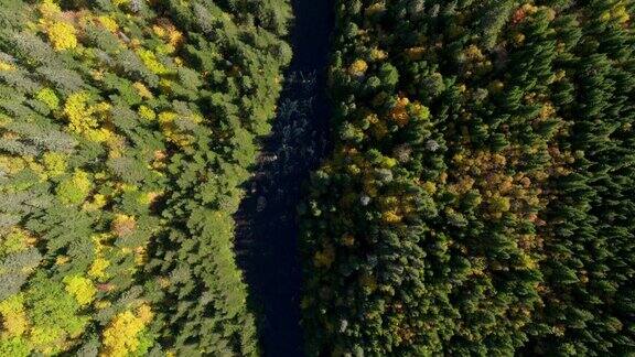 秋季加拿大魁北克北部森林自然和河流鸟瞰图