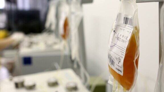 实验室负责过滤血液和血浆的年轻护士