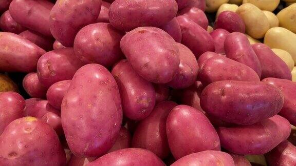 有机土豆