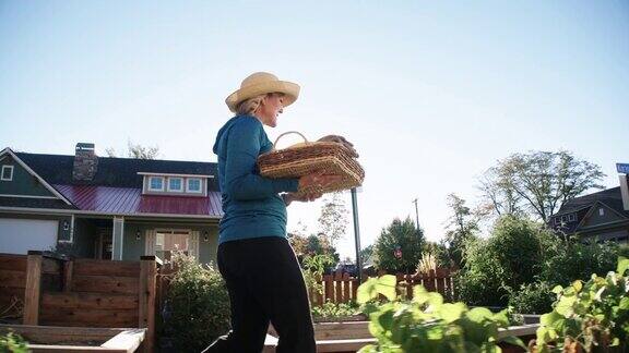 一个迷人的白人女人在她的50多岁走过她的菜园她提着一篮子蔬菜在一个社区