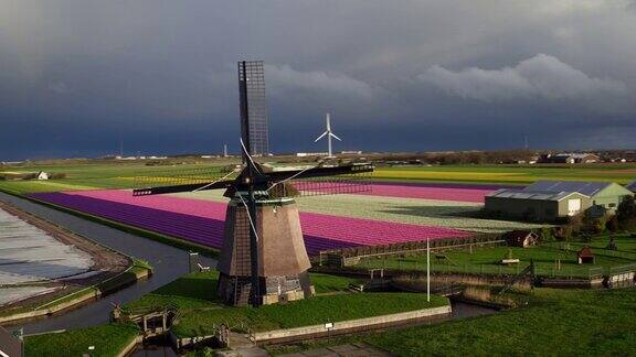荷兰的风能和郁金香田鸟瞰图