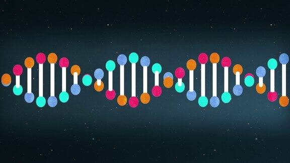 基因DNA结构