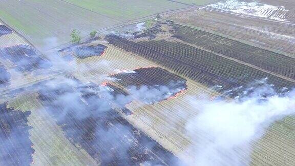 图为泰国大城府在收获后燃烧生物质燃烧稻田