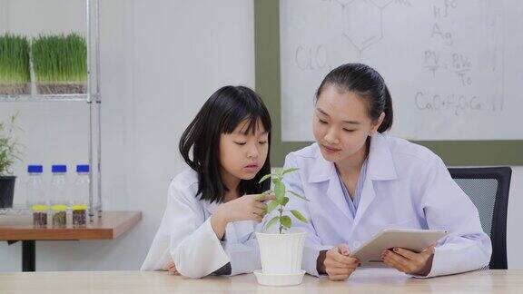 教室实验室里的化学老师和小女孩生物学教育项目