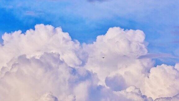 时间流逝的蓝天与白色层积云形成