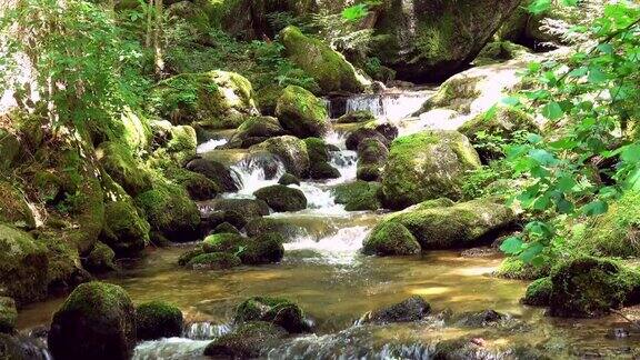 美丽的山溪和岩石上的苔藓