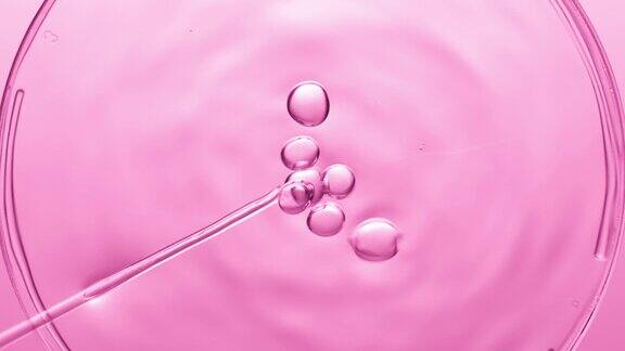 气泡从滴管中出来漂浮在培养皿中的液体上