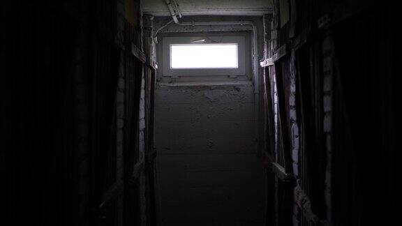 黑暗的地下室木门可见