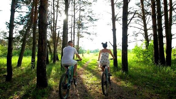 年轻男女骑着自行车穿过松树林