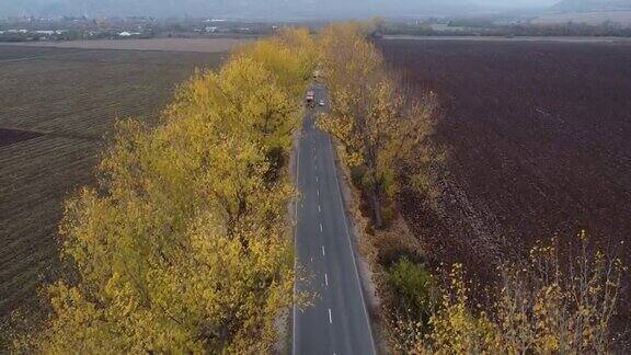 移动的汽车在道路上与黄色的秋天树无人机视图