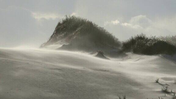 沙丘与沙丘草在风暴中的北海徒步沙丘堤防保护Sondervig日德兰半岛丹麦4k