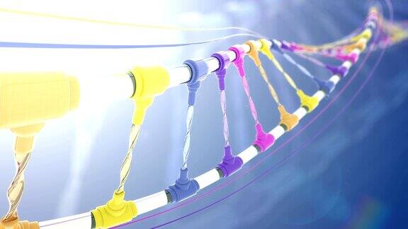 彩色DNA结构可循环
