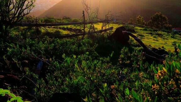 夕阳下青山上的山谷