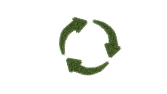循环循环草符号3d动画在白色背景隔离