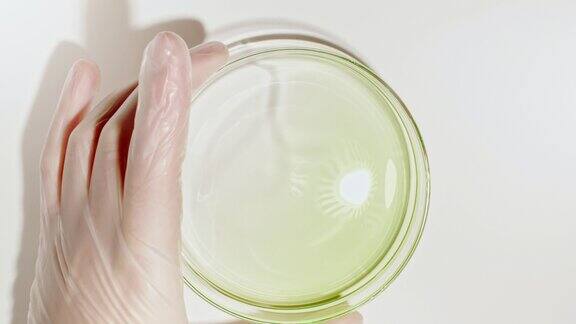 将试管中的透明液体油倒入培养皿中化学实验室研究天然有机化妆品医药天然化妆品生产特写