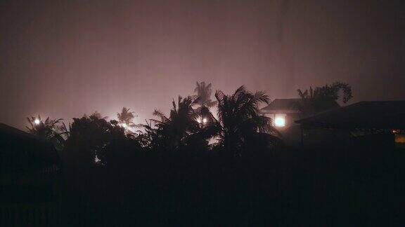 阵风在暴雨的夜晚吹着棕榈树的剪影